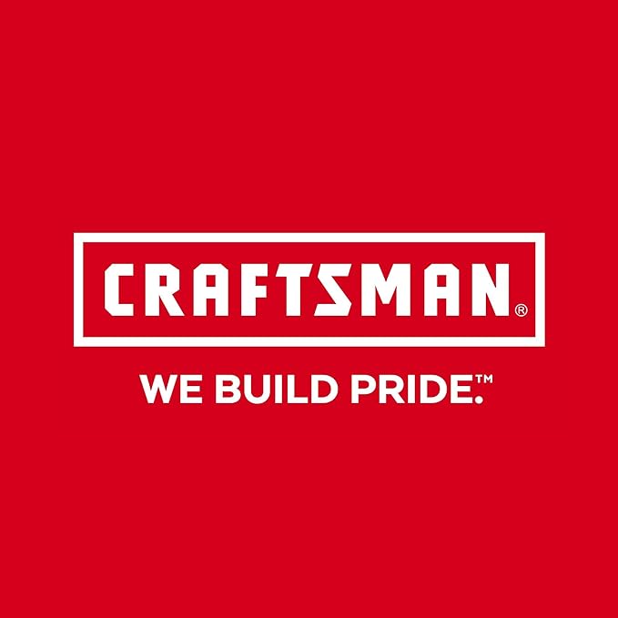 CRAFTSMAN Torque Wrench, 3/8" Drive (CMMT99433)