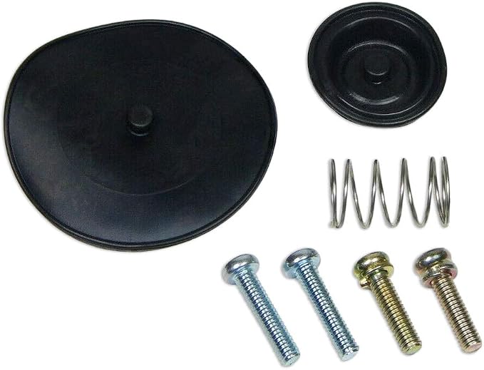 RW 0105-027 Fuel Petcock Rebuild Repair Parts Kit Compatible with Honda 99-07 VT600C Shadow VLX 600 & Deluxe