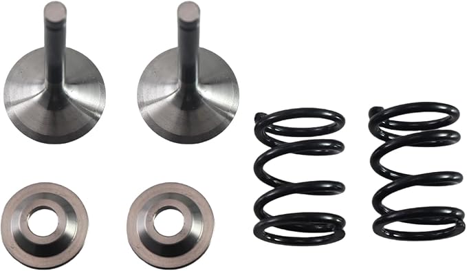 Stainless Steel Valve Kit w/Bronze Guides,For Predator 212cc Hemi/Non-Hemi Engines,For Honda GX160/GX200 6.5hp Clone Engines