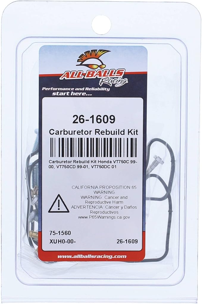 All Balls Racing Carburetor Rebuild Kit 26-1609 Compatible With/Replacement For Honda VT750C 1999-2000, VT750CD 1999-2001, VT750DC 2001