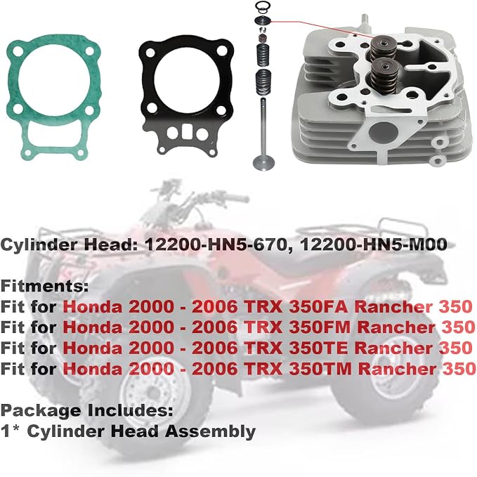 Cylinder Head and Gasket Compatible with Honda Rancher 350 TRX350 TRX350EX 2000-2006 12200-HN5-670