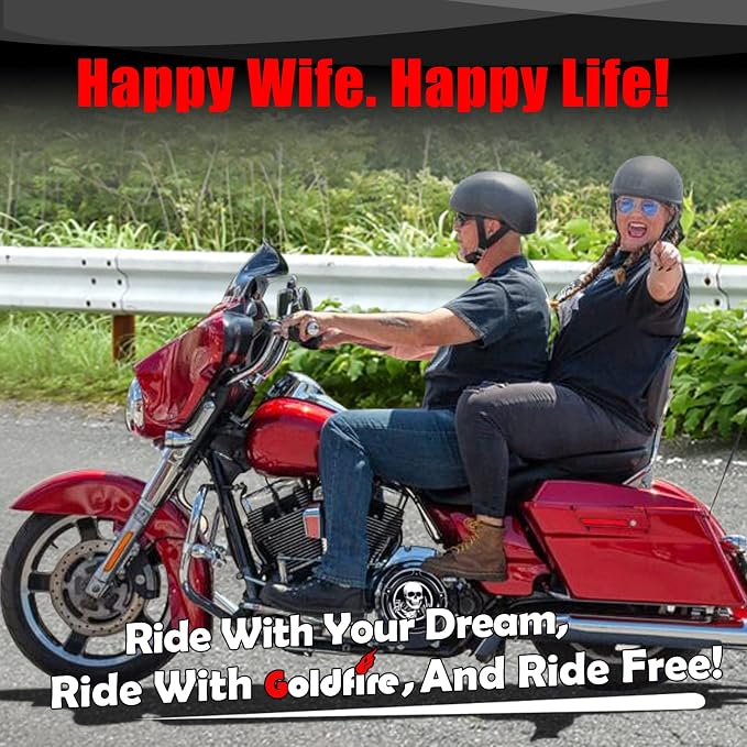 Goldfire Detachable Passenger Backrest for Harley Touring Quick Release Sissy Bar Street Glide Road King Electra Glide 2009-2024 Rear Back Pad (Black)