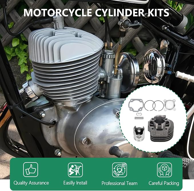 SCITOO Cylinder Piston Ring Set Replacement for 2001 2002 2003 for Polaris Sc for Ram bler 50 Engine Piston Gasket Kit 0450006 0450001