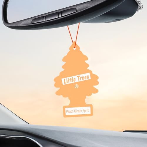 LITTLE TREES Car Air Freshener | Hanging Tree Provides Long Lasting Scent for Auto and Home | 24 Air Fresheners |Peach Ginger Spritz