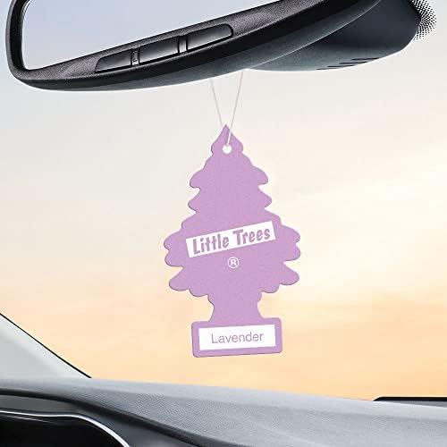 LITTLE TREES Car Air Freshener | Hanging Tree Provides Long Lasting Scent for Auto and Home | 24 Air Fresheners |Lavender