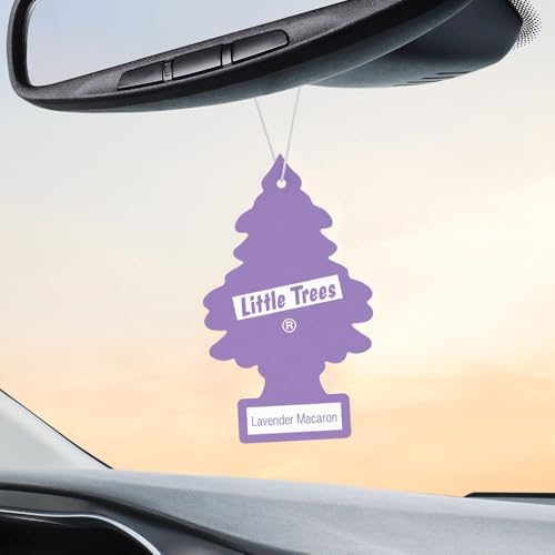 LITTLE TREES Car Air Freshener | Hanging Tree Provides Long Lasting Scent for Auto and Home | 24 Air Fresheners |Lavender Macaron