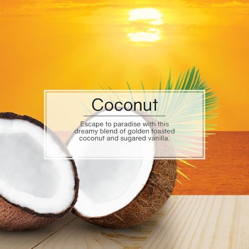 LITTLE TREES Car Air Freshener | Hanging Tree Provides Long Lasting Scent for Auto and Home | 24 Air Fresheners |Coconut