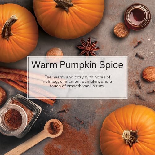 LITTLE TREES Car Air Freshener | Hanging Tree Provides Long Lasting Scent for Auto and Home | Warm Pumpkin Spice, 24 Air Fresheners