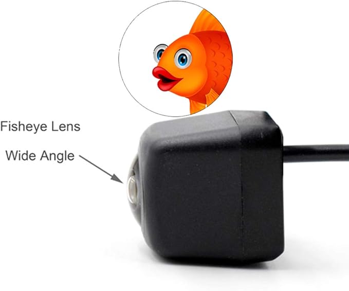 Vlicevrn HD Fisheye Vehicle Car Rear View Camera Fixed Parking Line Night Vision Backup Parking Camera for Toyota RAV4 XA30 / Toyota Vanguard XA30 2005~2012 (Spare Wheel On Door )