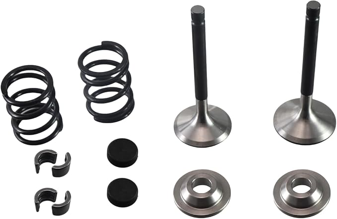 Stainless Steel Valve Kit w/Bronze Guides fit for Predator 212cc Hemi/Non-Hemi Engines for Honda GX160/GX200 Clone Engines