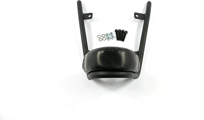 COPART Passenger Backrest Sissy Bar Replacement for Honda Fury VT1300CX 2010-2019 2018 2017 2016 2015