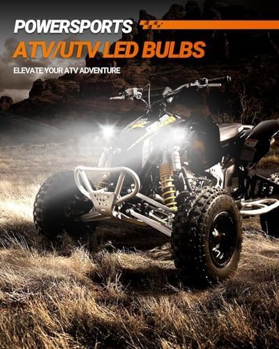 SEALIGHT H1 Bulbs 30000LM Super Bright, 1:1 Size Stock S6 H1 Light No Adapter Required No Cordless, 6500K Cool White Hi/Lo Bulbs, Plug-N-Play, Driving Fog Spot Light Assemblies, Pack of 2
