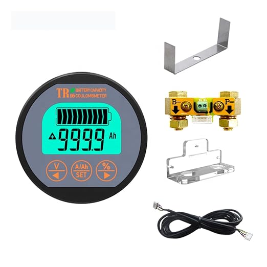 Battery Monitor with Shunt Voltage Ampere Capacity Tester High Precision Battery Level Indicator 80V 350A for Car RV Boat Golf Cart Motor Solar Batteries