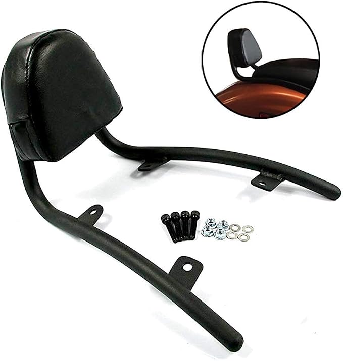COPART Passenger Backrest Sissy Bar Replacement for Honda Fury VT1300CX 2010-2019 2018 2017 2016 2015