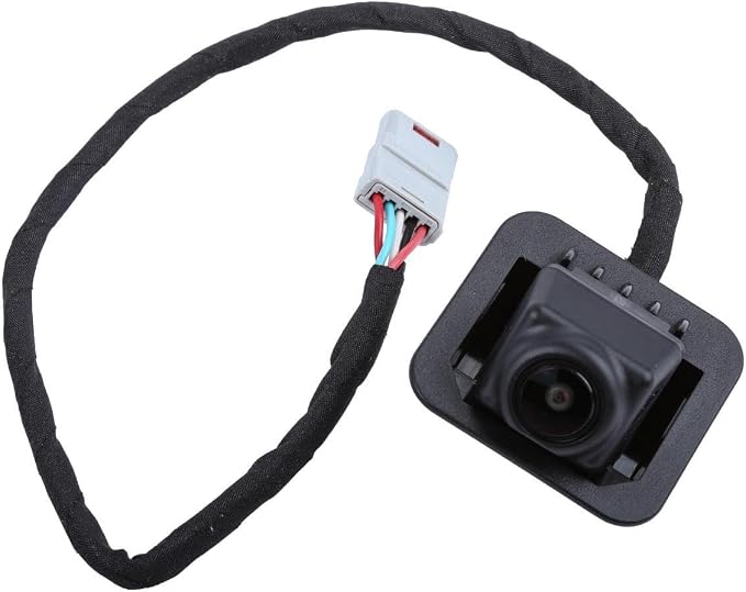 GM Genuine Parts 23204598 Rearview Driver Information Camera