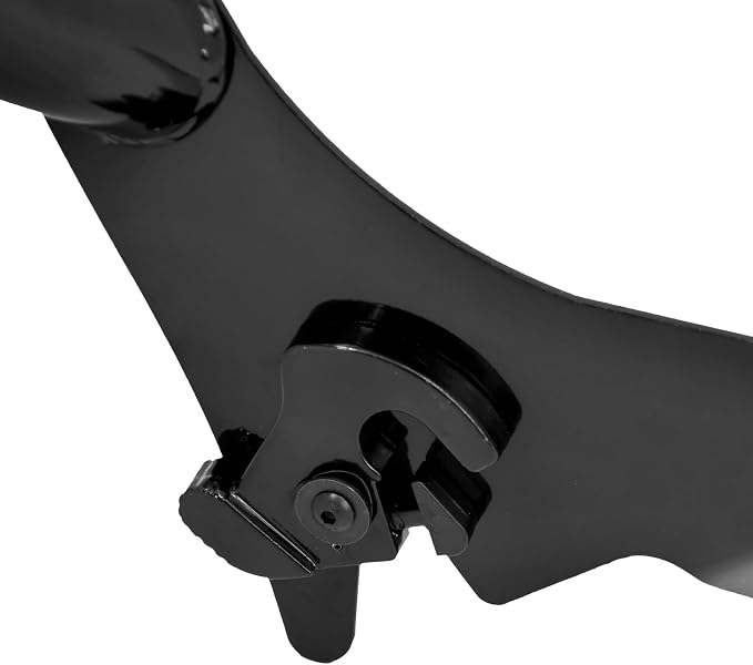 09-25 Sissy Bar Backrest, Detachable Passenger Backetst Sissy Bar Fit for Harley Touring Street Glide Road Glide Road King Electra Glide 2009-2025 Black