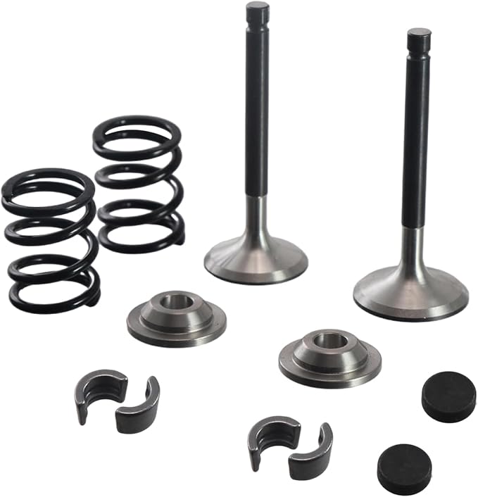Stainless Steel Valve Kit w/Bronze Guides,For Predator 212cc Hemi/Non-Hemi Engines,For Honda GX160/GX200 6.5hp Clone Engines