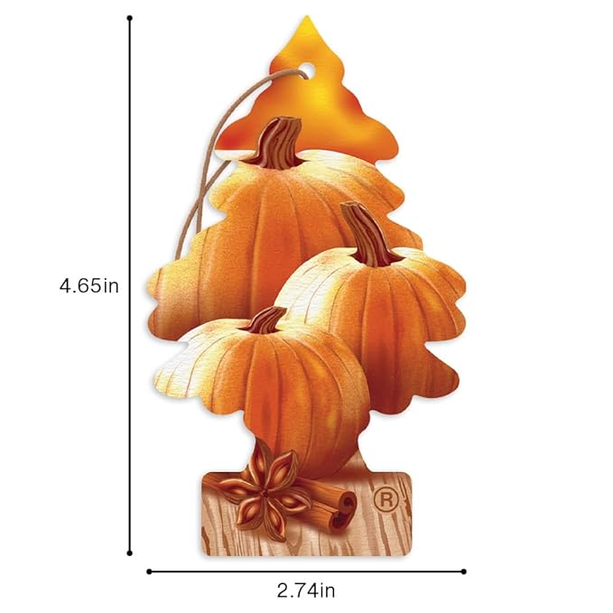 LITTLE TREES Car Air Freshener | Hanging Tree Provides Long Lasting Scent for Auto and Home | Warm Pumpkin Spice, 24 Air Fresheners