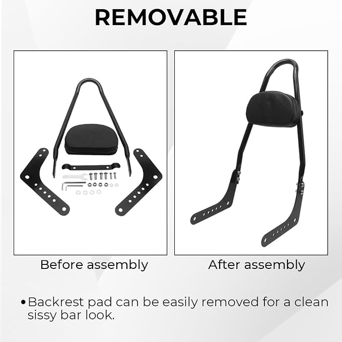 Detachable Passenger Backrest Pad Sissy Bar Fit for 2018-later Harley Softail FLDE FLHC FLHCS FLSL FXST FXBB FXBBS,Black