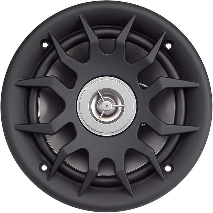 Marine Audio Speakers, 80 Watts, 6.5 Inch, Water Resistant, UV-Resistant, with Metallic Dome Tweeter, High-Performance Marine, RV & Vehicle Upgrade (Black)