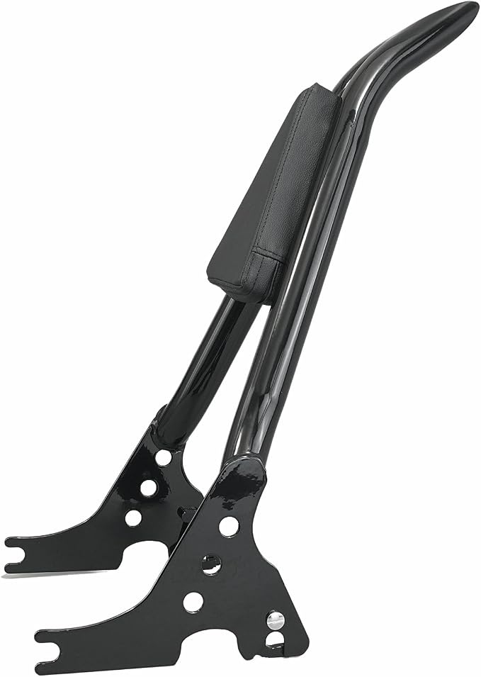 Harley Sportster Sissy Bar, Detachable Passenger Backrest for Iron 883 XL 883 XL 1200 (Fits 2004-2023 Models) (04-Black)