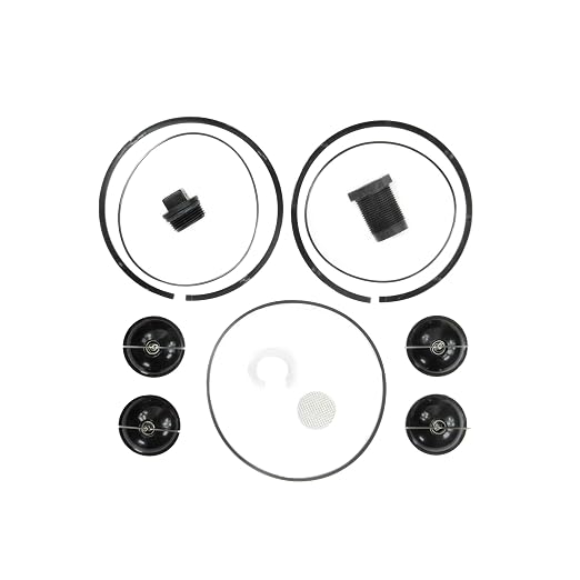 Fill-Rite 5200KTF1828 Repair Kit for 5200 Series Piston Hand Pumps
