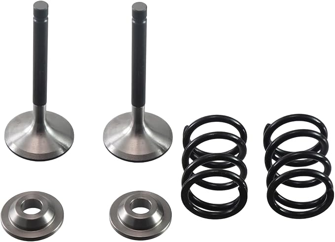 Stainless Steel Valve Kit w/Bronze Guides,For Predator 212cc Hemi/Non-Hemi Engines,For Honda GX160/GX200 6.5hp Clone Engines