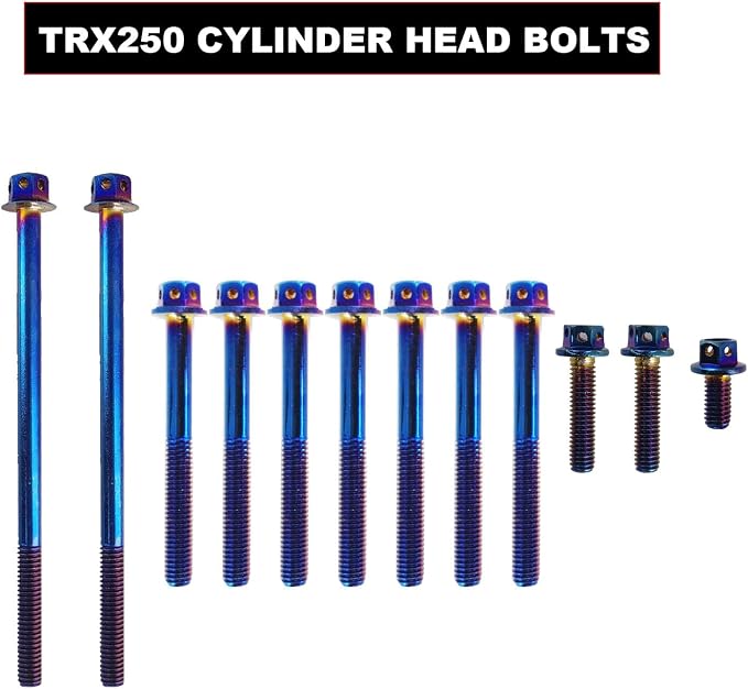 Cylinder Piston Gasket Top End Rebuild Kit Compatible with Honda TRX250TE Recon 250 ES 2002-2014 TRX250TM Recon 250 2002-2014 TRX250EX Sportrax 250 2003-2008 TRX250X 2009-2014