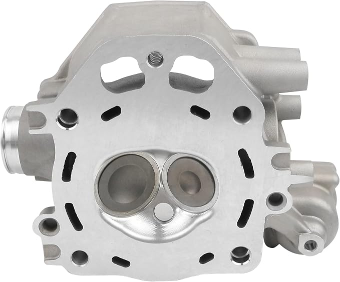 Engine Cylinder Head with Valve and Springs Compatible with Honda TRX420 TRX500 SXS500 2009-2024 Replace 12200-HP7-A01