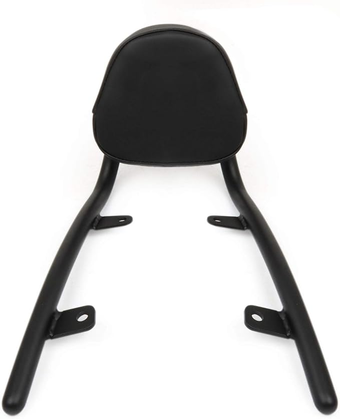 COPART Passenger Backrest Sissy Bar Replacement for Honda Fury VT1300CX 2010-2019 2018 2017 2016 2015