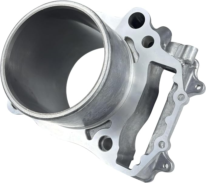 96.6mm Bore Engine Rebuild Kit Cylinder Piston Gasket Top End Kit Compatible with Polaris Sportsman 550 XP X2 EPS 2009-2014 3090173 3090202