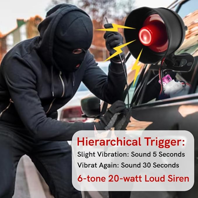 Riloer Universal Remote Control Vibration Auto Alarm Device, Universal Car Alarm Device, Car Alarm Device, Suitable for DC12V Cars