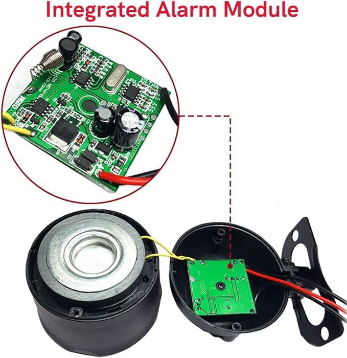 Riloer Universal 12V Car Alarm System, Universal Car Alarm Device, Car Alarm Device, Suitable for DC12V Cars
