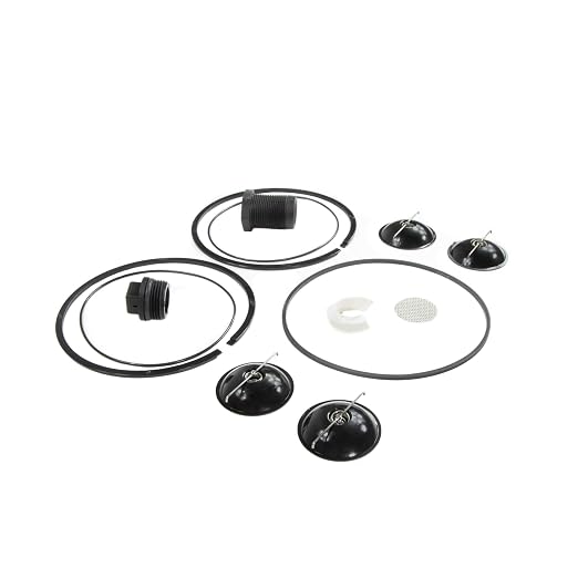 Fill-Rite 5200KTF1828 Repair Kit for 5200 Series Piston Hand Pumps