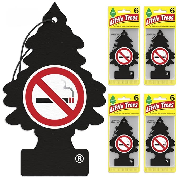 LITTLE TREES Air Fresheners Car Air Freshener. Hanging Tree Provides Long Lasting Scent for Auto or Home. No Smoking, 24 Air Fresheners (Pack of 6)