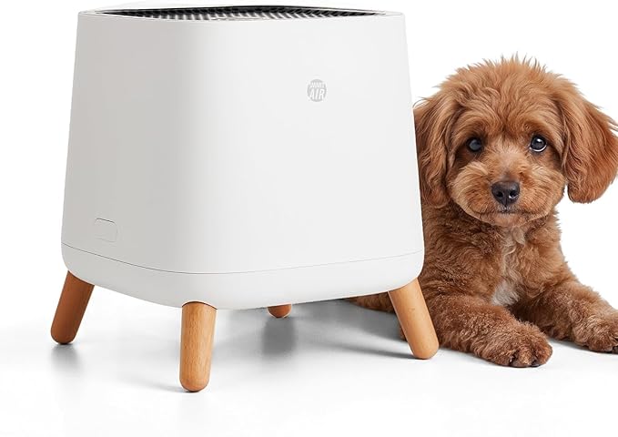 Smart Air(AKA Smart Health) Sqair Air Purifier|H13 HEPA &Activated Carbon|Cleans up to 900 sq ft/30 mins,23-52 dB|For Home, Bedroom, Office, Kitchen|Reduces Allergies, Smoke, Dust, Pet Odors|SA120-3-4