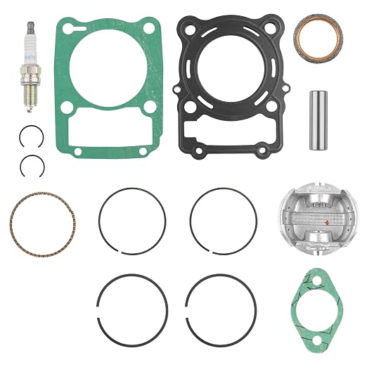 Piston Top End Kit Rings Compatible with HiSUN 250 UTVs Massimo, Bennche, Coleman, Rural King, Strike, Gunner, Sector, Cowboy, Spire Replacement 13101-013-0000