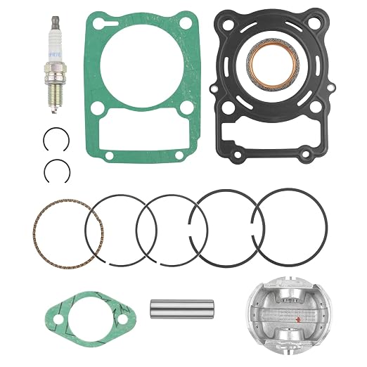 Piston Top End Kit Rings Compatible with HiSUN 250 UTVs Massimo, Bennche, Coleman, Rural King, Strike, Gunner, Sector, Cowboy, Spire Replacement 13101-013-0000