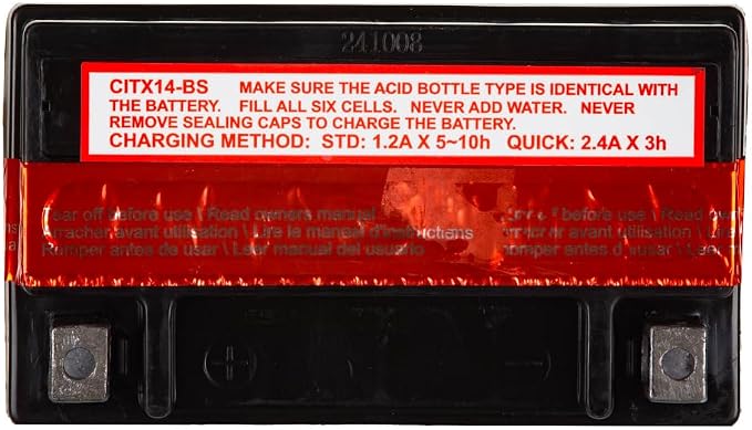 Interstate Batteries YTX14-BS 12V 12Ah Powersports Battery 200CCA AGM Rechargeable Replacement for Motorcycles, ATVs, UTVs, Scooters, Snowmobiles (CITX14-BS)