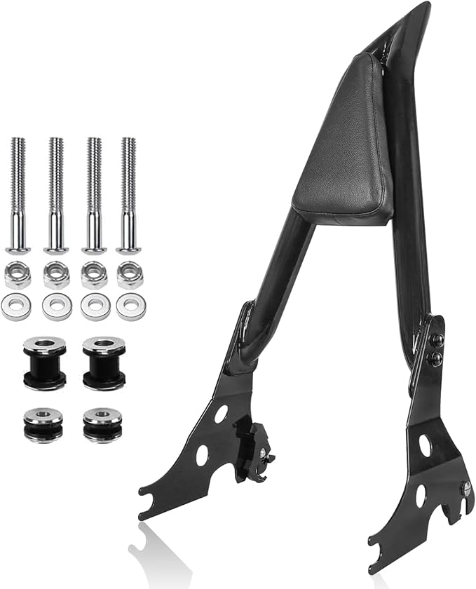 Detachable Rear Passenger Backrest Sissy bar for Harley Sportster 2004-2023 XL 883 Super Low Forty Eight Seventy Two Iron XL 1200