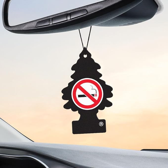 LITTLE TREES Air Fresheners Car Air Freshener. Hanging Tree Provides Long Lasting Scent for Auto or Home. No Smoking, 24 Air Fresheners (Pack of 6)