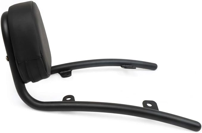 COPART Passenger Backrest Sissy Bar Replacement for Honda Fury VT1300CX 2010-2019 2018 2017 2016 2015