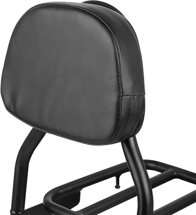 Worldmotop Motorcycle Sissy Bar Backrest Rear Passenger Seat for Suzuki Volusia VL800 2001-2011 Boulevard C50 2005-2011 Boulevard M50 2005-2008 Detachable Backrest(for C50-B)