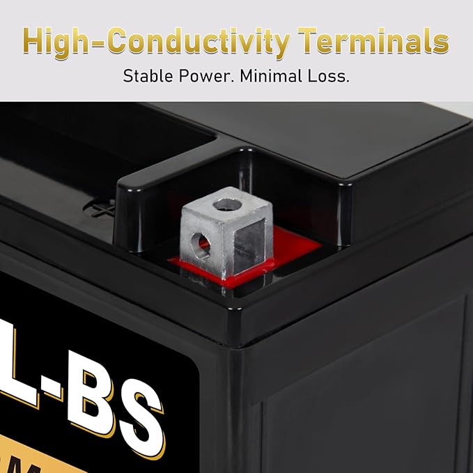 YTX20L-BS 12V 20Ah AGM Sealed Motorcycle Battery, Maintenance-Free, Compatible with ATV UTV Snowmobile Honda Gold Wing GL1800, TRX680, VTX1800