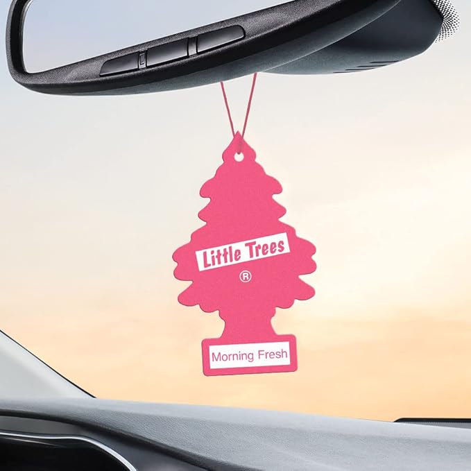 LITTLE TREES Air Fresheners Car Air Freshener. Hanging Tree Provides Long Lasting Scent for Auto or Home. Morning Fresh, 24 Air Fresheners (Pack of 6)