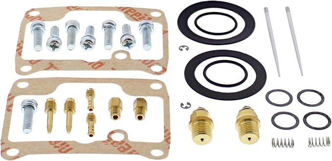 All Balls Racing Carburetor Rebuild Kit 26-10107 Compatible With/Replacement For Ski-Doo Formula S 1995 1996 1997 1998 1999, Formula S/DLX 2000 2001, MX Z 380 F 2001, Skandic 380 1995 1996-2000