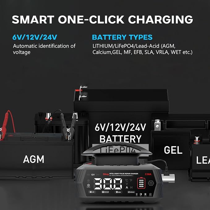 30-Amp Battery Charger for Lithium LiFePo4 Lead Acid Deep Cycle (AGM/Gel), 6V/12V/24V Battery Charger & Maintainer, Trickle Charger for Car Truck Motorcycle Lawn Mower Marine