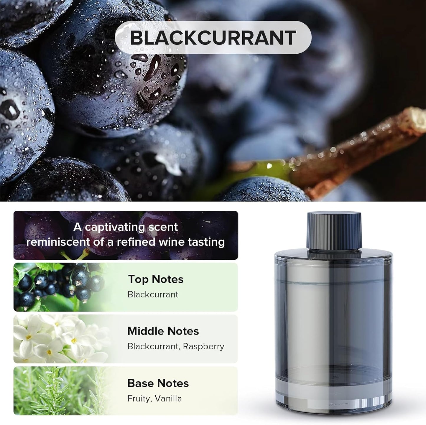 Ceeniu Car Air Freshener, CF3 Luxury Perfume Refill, 135ml Large Capacity for 6 months, BlackCurrant, Natural French Fragrance with Plant Extracts, Car Diffuser Freshener, Premium Car Scent