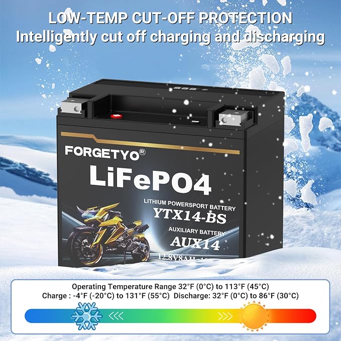 Lithium Motorcycle Battery, Forgetyo YTX14-BS 12.8V 8AH 600A LiFePO4 AUX14 Auxiliary Batteries, ATV UTV Jet Ski Snowmobile Battery