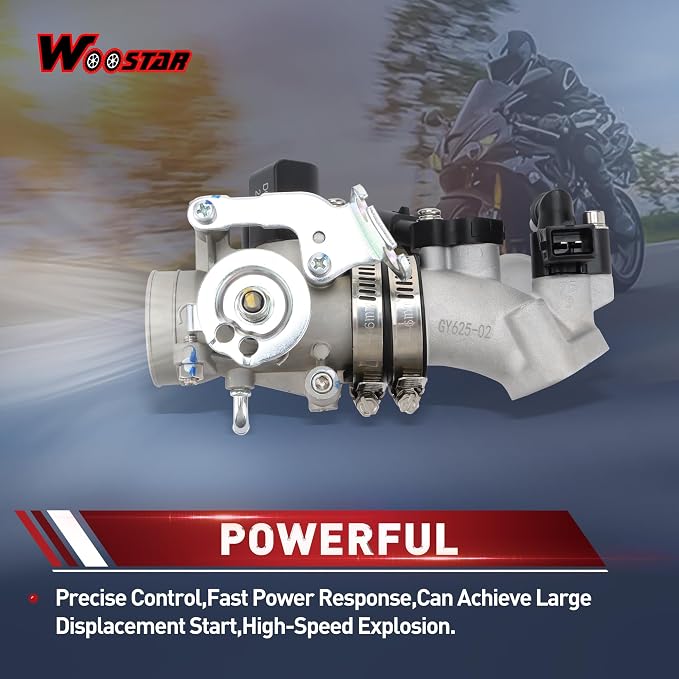 WOOSTAR Motorcycle Fuel Injection Throttle Body Replacement for GY6 Engine 169cc 170cc EFI Jonway GTX 250 EFI 200
